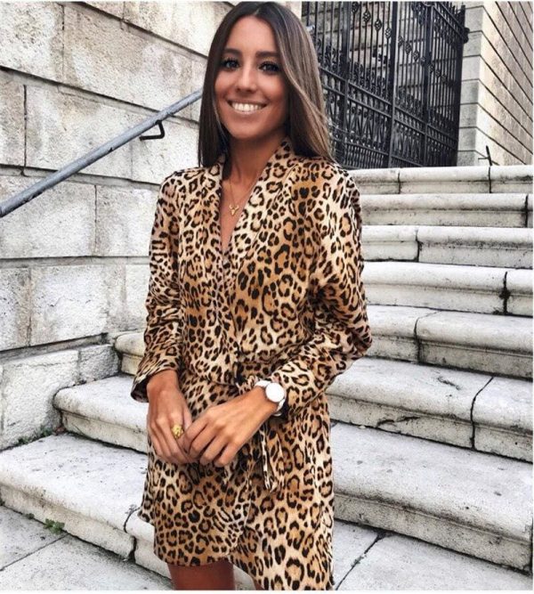 The Best Women Fashion Leopard Loose Mini Dress Elegant Long Sleeve V Neck Ladies party Club Streetwear Dames Autumn Clothes Online - Takalr