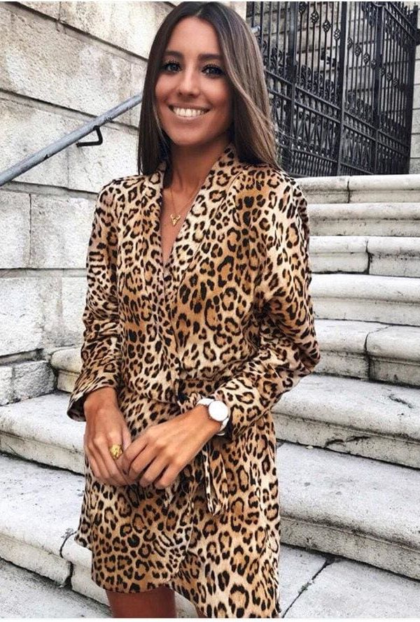 The Best Women Fashion Leopard Loose Mini Dress Elegant Long Sleeve V Neck Ladies party Club Streetwear Dames Autumn Clothes Online - Takalr