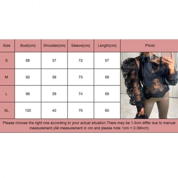 The Best Women Lady Crochet Mesh Sheer See-Through Long Puff Sleeve Tops Shirt Bow Neck Loose Casual Blouse Top Online - Takalr