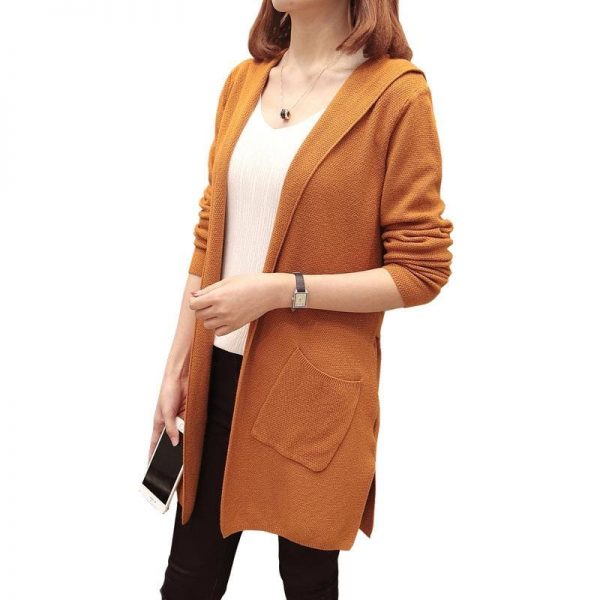 The Best Women Long Hooded Cardigan Autumn Pockets Long Women Sweater Cardigan Online - Takalr