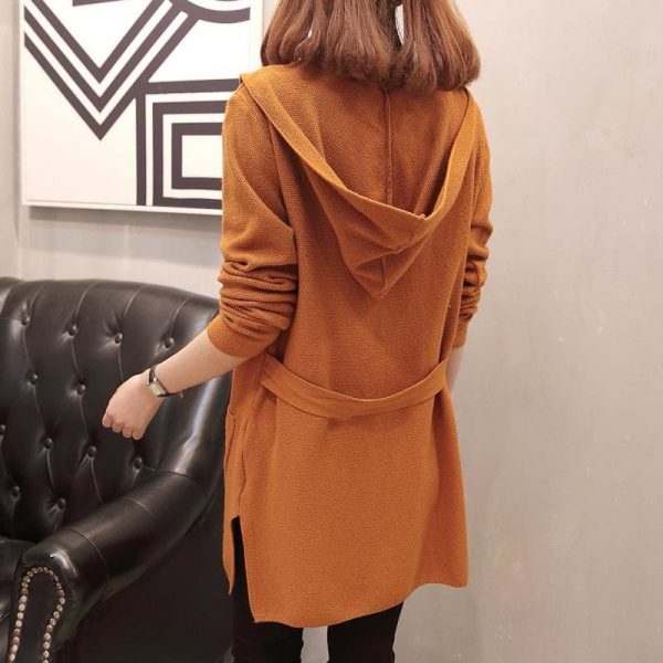 The Best Women Long Hooded Cardigan Autumn Pockets Long Women Sweater Cardigan Online - Takalr