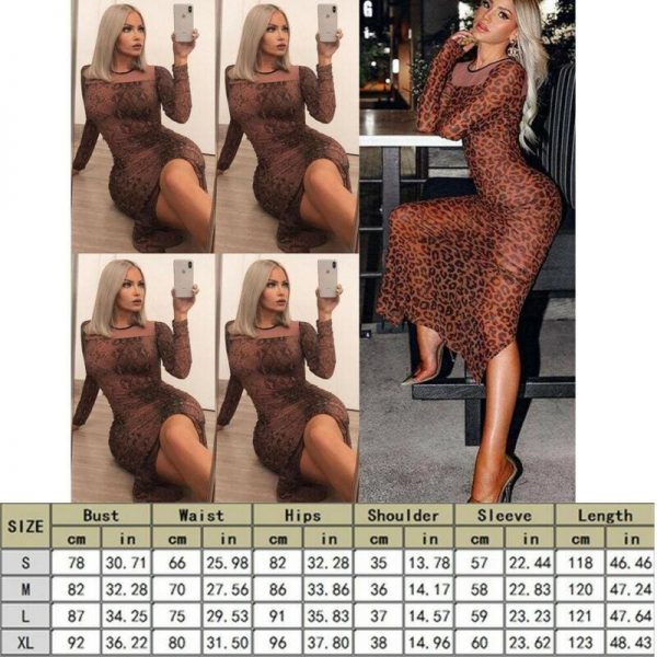 The Best Women Long Sleeve Bodycon Leopard Dress Mesh See-through Party Evening Club Slim Fit Maxi Dress Online - Takalr