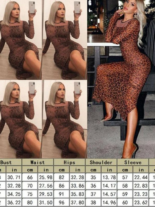 The Best Women Long Sleeve Bodycon Leopard Dress Mesh See-through Party Evening Club Slim Fit Maxi Dress Online - Takalr