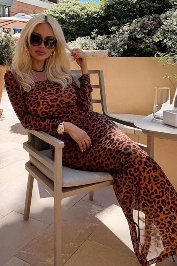 The Best Women Long Sleeve Bodycon Leopard Dress Mesh See-through Party Evening Club Slim Fit Maxi Dress Online - Takalr