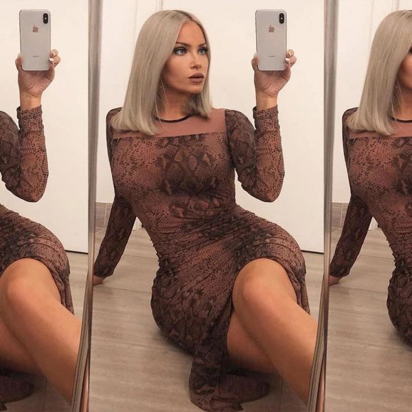 The Best Women Long Sleeve Bodycon Leopard Dress Mesh See-through Party Evening Club Slim Fit Maxi Dress Online - Takalr