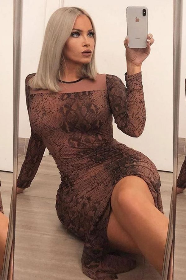 The Best Women Long Sleeve Bodycon Leopard Dress Mesh See-through Party Evening Club Slim Fit Maxi Dress Online - Takalr