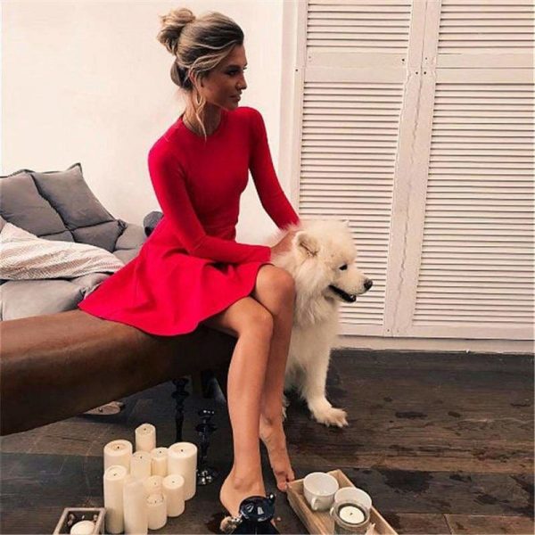 The Best Women Long Sleeve Bodycon O-neck Casual Dress Online - Source Silk