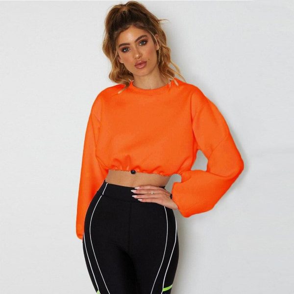 The Best Women Long Sleeve Hoodie Crop Tops Sweatshirt Ladies Casual Loose Jumper Pullover Hooded Autumn Winter Blouse Top Online - Takalr