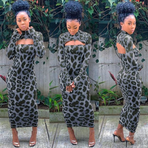 The Best Women Long Sleeve Leopard Bodycon Dress Autumn Ladies Evening Party Clubwear Slim Long Sexy Dress Online - Takalr