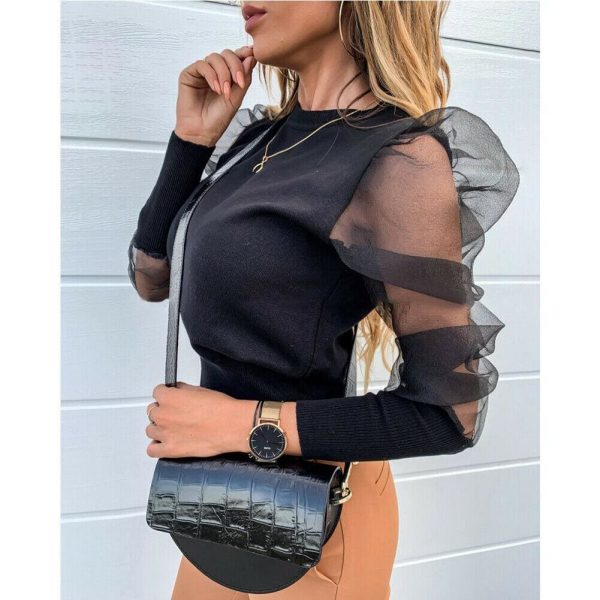 The Best Women Mesh Net Blouse Sheer Puff Long Sleeve Black Pullover Tops Online - Takalr