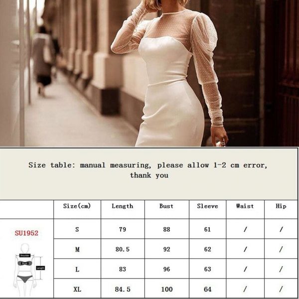 The Best Women Sexy Mesh Sheer Puff Long Sleeve Bodycon Dress Ladies Evening Party Clebwear Slim Fit Formal Mini Dress Online - Takalr