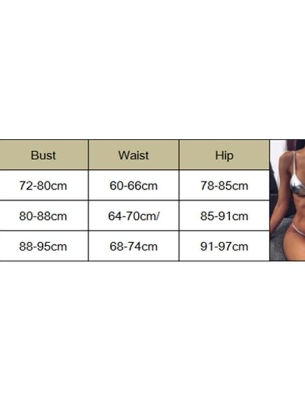 The Best Women String Micro Bikinis Brazil Thong Swimsuit Silver Strap Two Piece Swimwears Online - Takalr