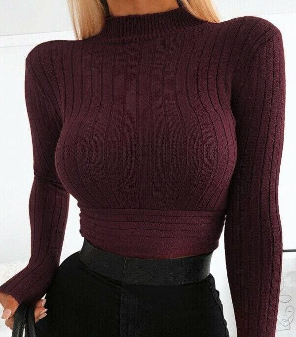 The Best Women's Autumn T shirt Top Casual High Neck Cropped Tops Ladies Long Sleeve Pullover Winter Warm Shirt Tee Online - Takalr