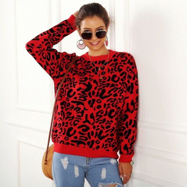 The Best Women's Autumn Winter Sweater Long Sleeve Leopard Print Ladies Girl Knitted Jumper Pullover Tops Sweaters Streetwear Online - Takalr